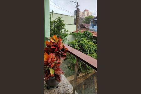 Casa à venda com 4 quartos, 330m² em Santana, São Paulo