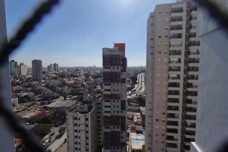 Vista da Área de Serviço de apartamento para alugar com 3 quartos, 150m² em Vila Curuçá, Santo André