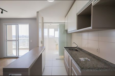 Cozinha de apartamento para alugar com 2 quartos, 61m² em Campininha, São Paulo