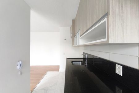 Cozinha de apartamento para alugar com 2 quartos, 46m² em Jardim das Cerejeiras, Campinas