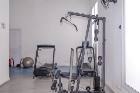 Área comum - Academia de apartamento à venda com 2 quartos, 53m² em Vila Bela, São Paulo