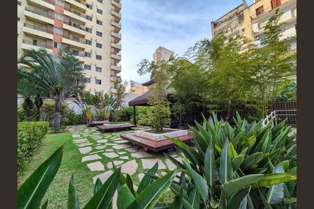 Área comum de apartamento para alugar com 1 quarto, 30m² em Campos Elíseos, São Paulo