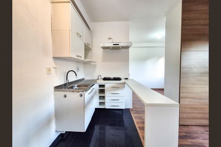 Cozinha  de apartamento para alugar com 1 quarto, 30m² em Campos Elíseos, São Paulo