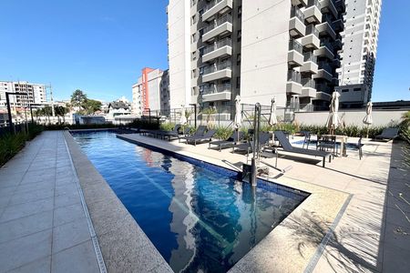 Área comum - Piscina de apartamento para alugar com 2 quartos, 71m² em Vila Guilhermina, São Paulo