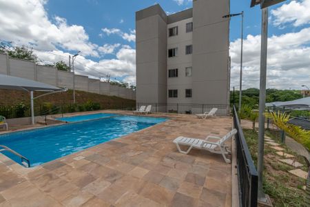 Área comum - Piscina de apartamento para alugar com 2 quartos, 41m² em Jardim das Flores, Hortolândia