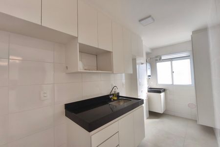 Cozinha de apartamento para alugar com 2 quartos, 44m² em Fundacao da Casa Popular, Campinas