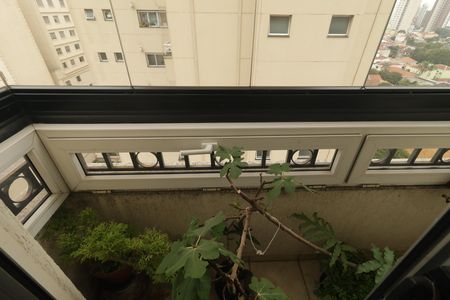 Apartamento para alugar com 110m², 3 quartos e 2 vagasVaranda da Suíte