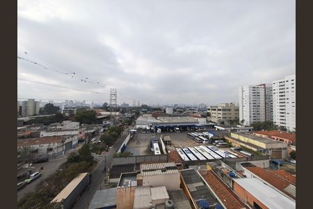 Vista da Cozinha de apartamento à venda com 2 quartos, 34m² em Vila Guilherme, São Paulo