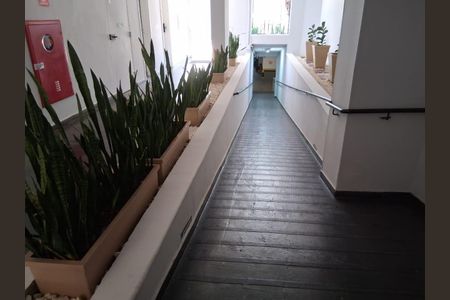 Apartamento à venda com 3 quartos, 96m² em Mandaqui, São Paulo