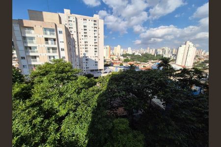 Apartamento à venda com 3 quartos, 118m² em Parque Mandaqui, São Paulo