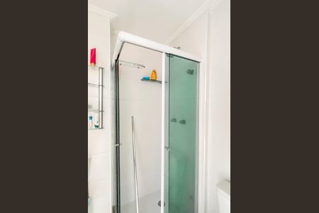 Banheiro da Suíte de apartamento à venda com 2 quartos, 54m² em Chácara Cruzeiro do Sul, São Paulo