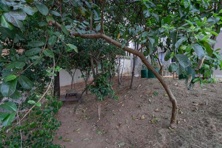 Área comum de apartamento à venda com 2 quartos, 43m² em Arvoredo Ii, Contagem