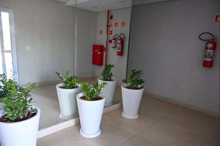 Apartamento à venda com 59m², 2 quartos e 1 vaga Apartamento à venda com 59m², 2 quartos e 1 vagaarea comum circulação