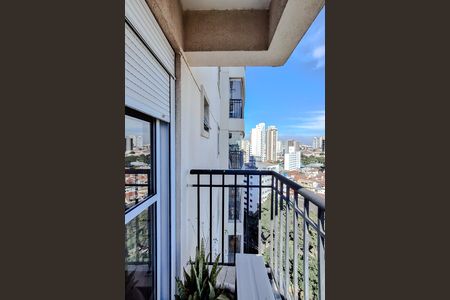 Varanda da Suíte de apartamento à venda com 4 quartos, 178m² em Cambuci, São Paulo
