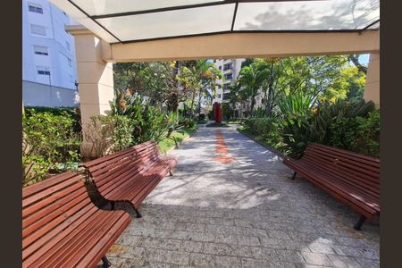 Apartamento à venda com 3 quartos, 72m² em Lauzane Paulista, São Paulo