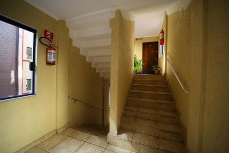 Área comum de apartamento para alugar com 2 quartos, 40m² em Cohab Padre Manoel da Nobrega, São Paulo