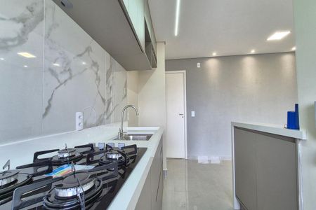 Cozinha de apartamento para alugar com 2 quartos, 48m² em Cidade Satélite Íris, Campinas