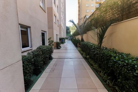 Área comum de apartamento à venda com 2 quartos, 32m² em Parque Munhoz, São Paulo