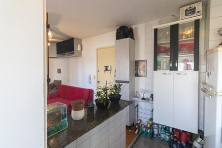 Cozinha de apartamento para alugar com 2 quartos, 43m² em Vila Mazzei, São Paulo