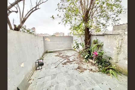 Quintal de casa à venda com 3 quartos, 130m² em Vila Isolina Mazzei, São Paulo