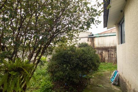 Quintal de casa para alugar com 4 quartos, 185m² em Pinheirinho, Curitiba