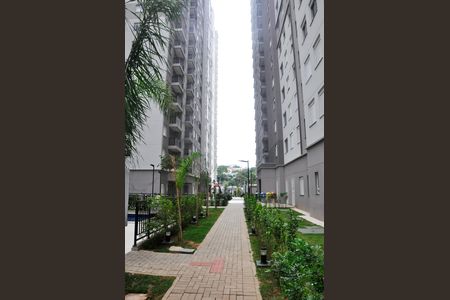 Área comum de apartamento para alugar com 2 quartos, 38m² em Jardim Iris , São Paulo