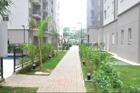 Área comum de apartamento para alugar com 2 quartos, 38m² em Jardim Iris , São Paulo