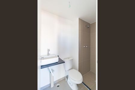 Banheiro de apartamento para alugar com 2 quartos, 39m² em Belenzinho, São Paulo