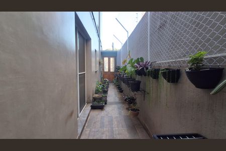 Quintal de casa para alugar com 4 quartos, 174m² em Vila Helena, São Bernardo do Campo