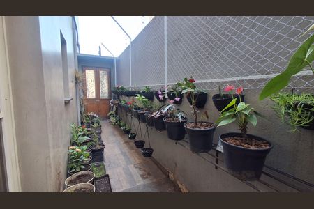 Quintal de casa para alugar com 4 quartos, 174m² em Vila Helena, São Bernardo do Campo