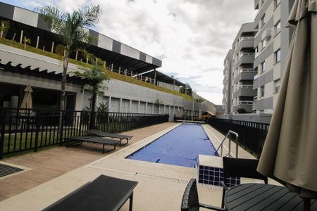 Área comum - Piscina de apartamento à venda com 2 quartos, 60m² em Buritis, Belo Horizonte