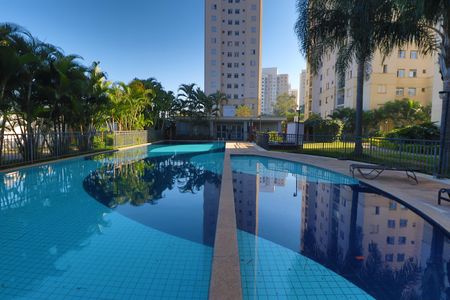 Área comum - Piscina de apartamento à venda com 3 quartos, 57m² em Vila Moreira, São Paulo