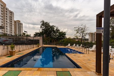 Área comum - Piscina de apartamento para alugar com 2 quartos, 55m² em Jardim Ipaussurama, Campinas