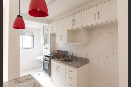 Cozinha de apartamento para alugar com 2 quartos, 55m² em Jardim Ipaussurama, Campinas
