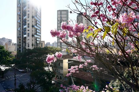 Apartamento para alugar com 2 quartos, 52m² em Santa Efigênia, Belo Horizonte