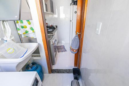 area de serviço de apartamento para alugar com 2 quartos, 46m² em Santa Amelia, Belo Horizonte