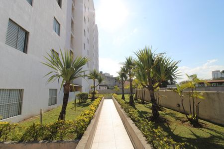 Área Comum de apartamento para alugar com 2 quartos, 48m² em Vila Regina, São Paulo