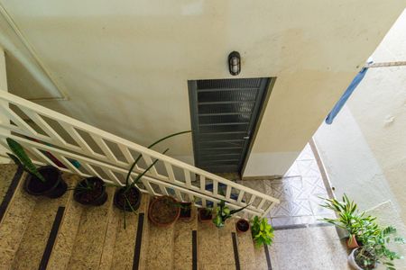Vista Lavanderia de casa para alugar com 1 quarto, 50m² em Vila Pereira Barreto, São Paulo