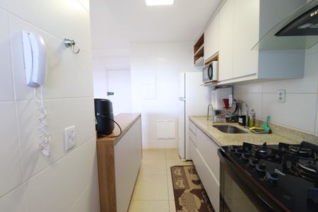 Cozinha  de apartamento para alugar com 3 quartos, 93m² em Quinta da Primavera, Ribeirão Preto