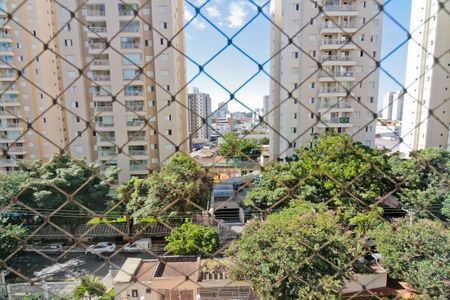 Vista de apartamento para alugar com 3 quartos, 74m² em Jardim Pereira Leite, São Paulo