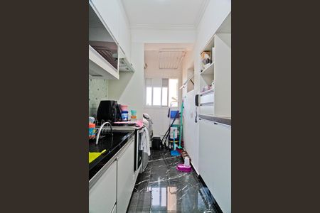 Cozinha de apartamento para alugar com 3 quartos, 74m² em Jardim Pereira Leite, São Paulo