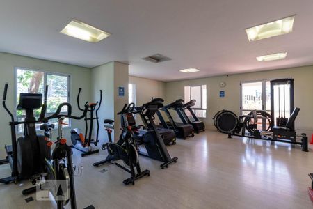 Área comum - Academia de apartamento para alugar com 3 quartos, 74m² em Jardim Pereira Leite, São Paulo