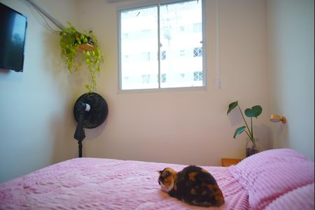 Apartamento à venda com 51m², 2 quartos e 1 vagaQuarto 1