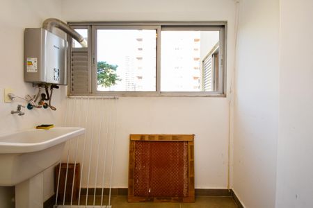 lavanderia de apartamento para alugar com 3 quartos, 101m² em Pinheiros, São Paulo