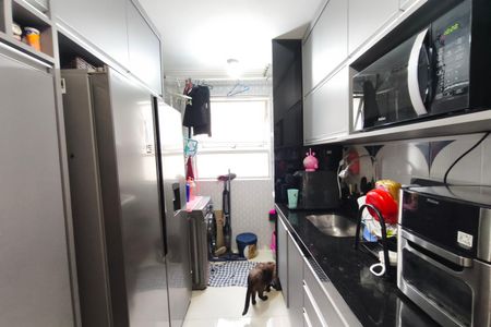 Apartamento para alugar com 74m², 3 quartos e 1 vaga Apartamento para alugar com 74m², 3 quartos e 1 vagaCozinha