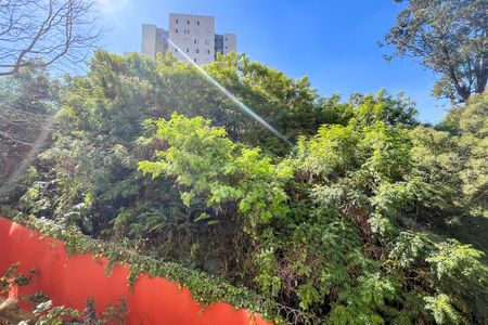 Vista do Quarto 1 de apartamento à venda com 2 quartos, 56m² em Vila Vermelha, São Paulo