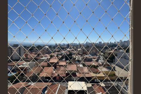 Apartamento para alugar com 75m², 2 quartos e 2 vagas Apartamento para alugar com 75m², 2 quartos e 2 vagasVista do Quarto 1