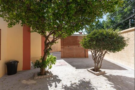 Área comum de apartamento para alugar com 3 quartos, 90m² em Jardim Campos Eliseos, Campinas