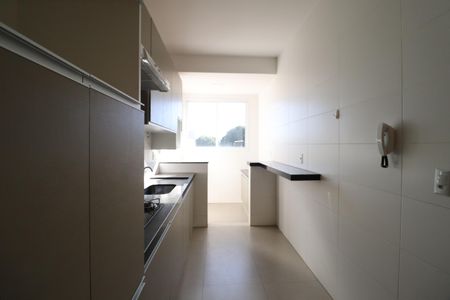 Cozinha de apartamento para alugar com 3 quartos, 84m² em Segismundo Pereira, Uberlândia