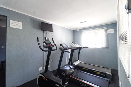 Apartamento para alugar com 3 quartos, 65m² em Tucuruvi, São Paulo